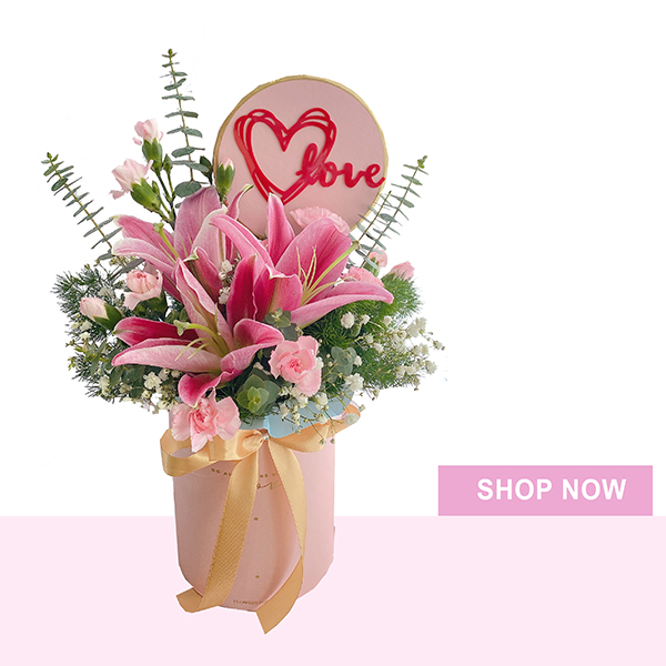圣诞花礼Christmas Flowers