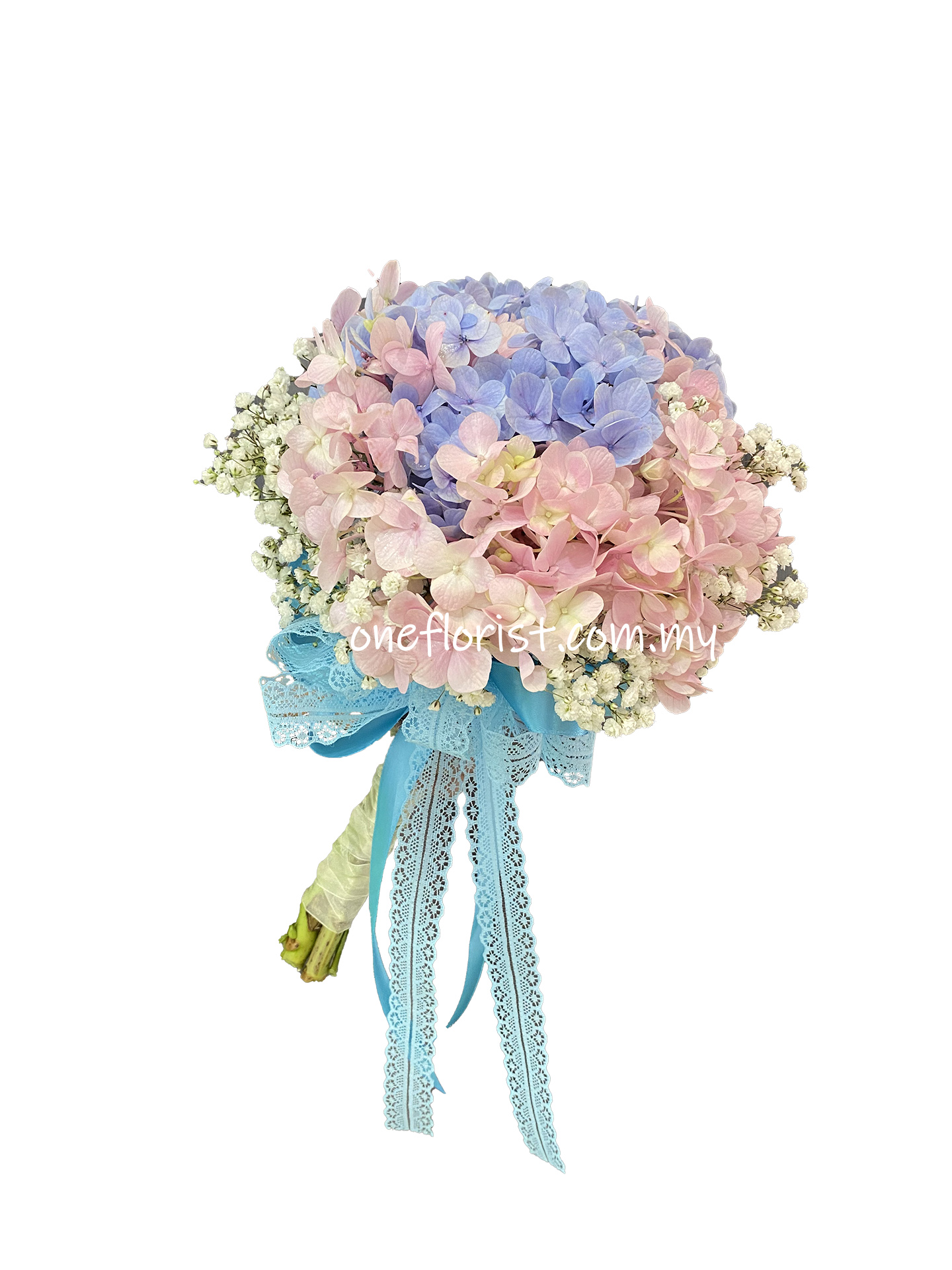 Hydrangea hand tied