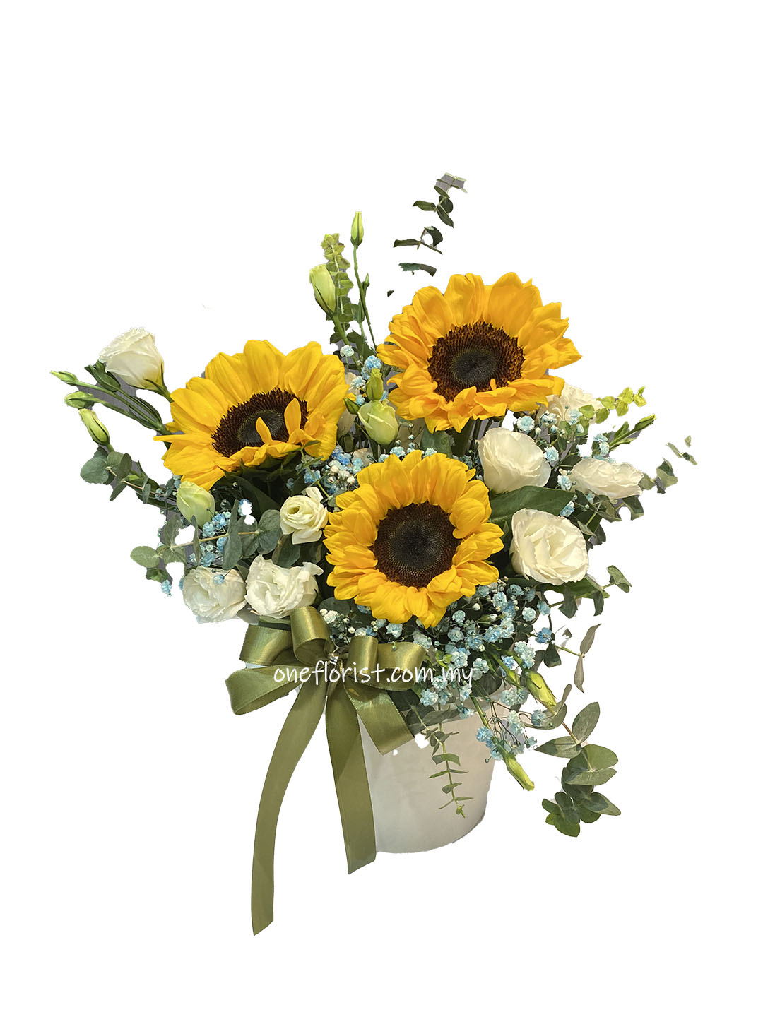 Flower box sunflower