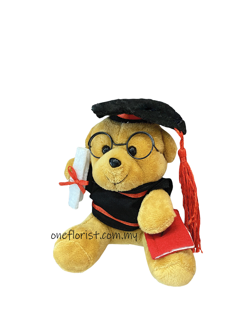 15cm Graduation bear