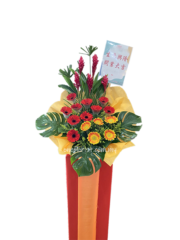Opening flower stand red ginger