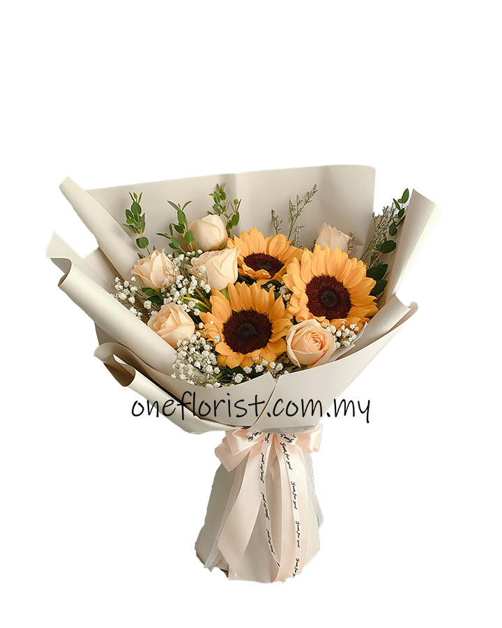Sunflower mix champagne rose 6