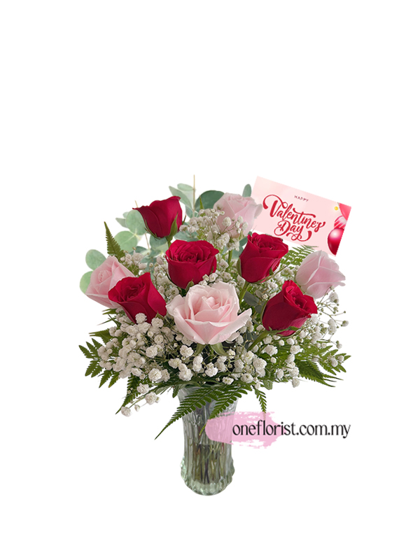 Valentine Rose in vase